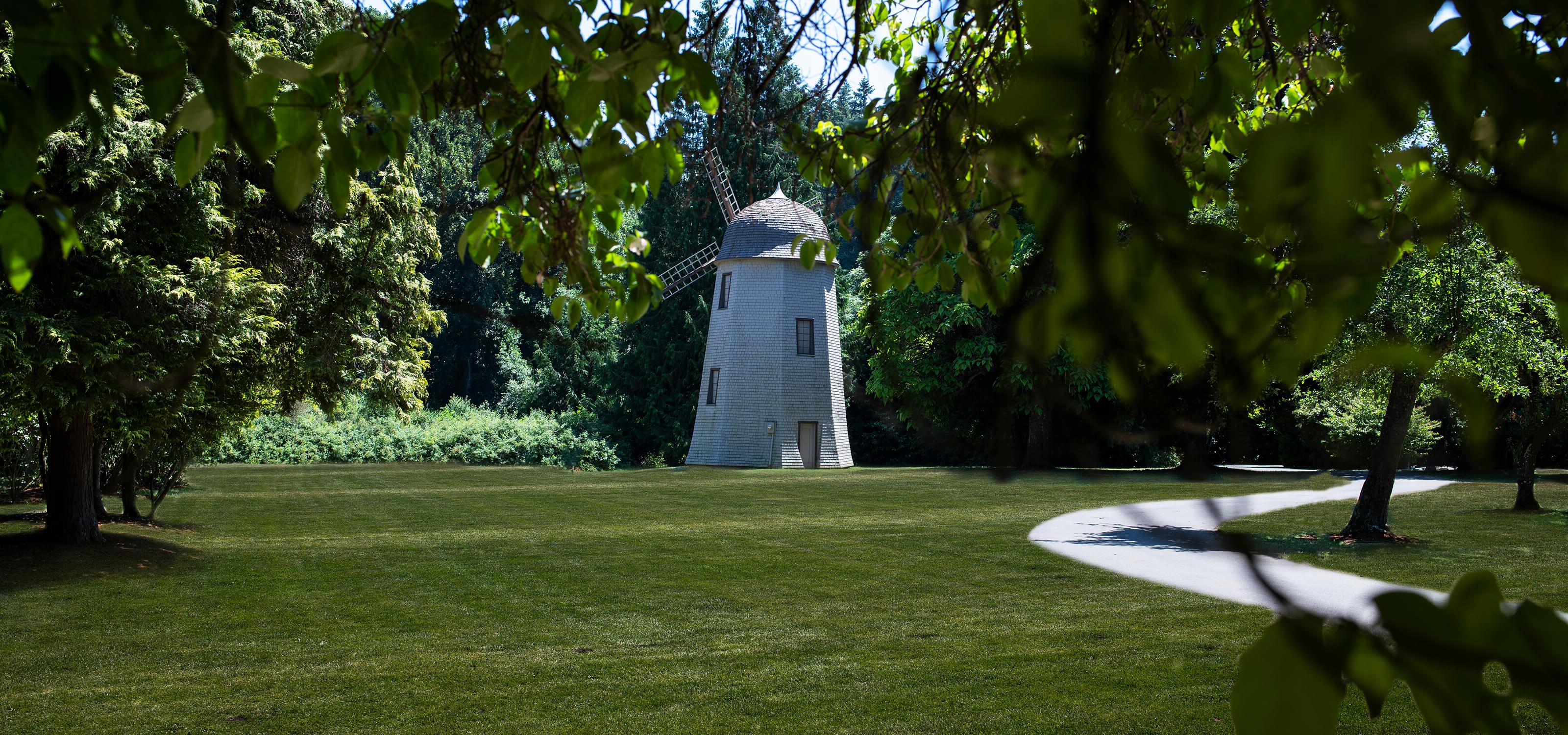 Picture of windmill at Redmond's Marymoor Park